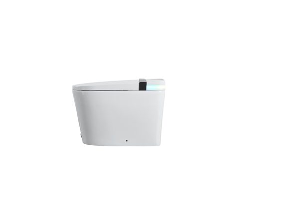Smart Toilets S21 G