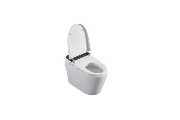 Smart Toilets S61