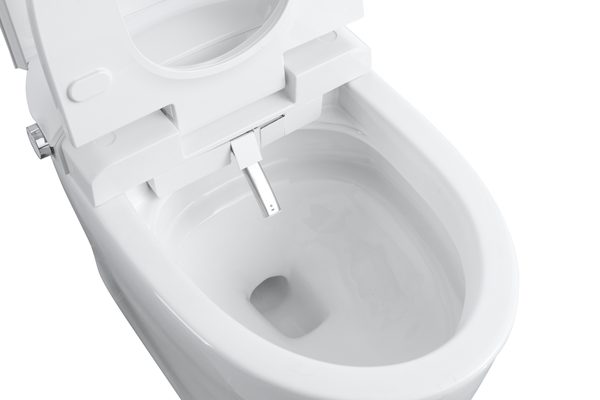 Smart Toilets S31 G