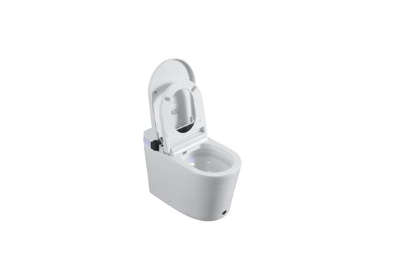 Smart Toilets S21 G