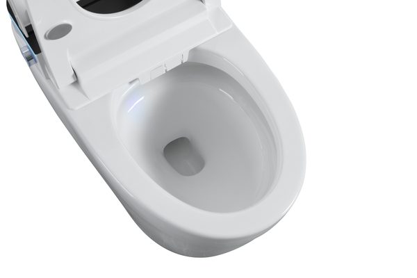 Smart Toilets S61