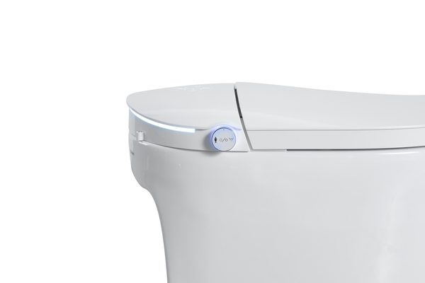 Smart Toilets S31 G