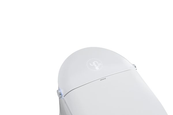 Smart Toilets S31 G