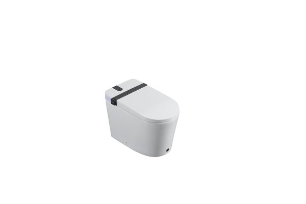 Smart Toilets S21 G