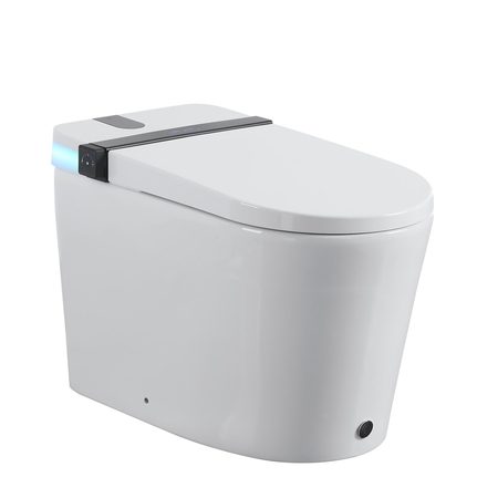 Smart Toilets S21 G