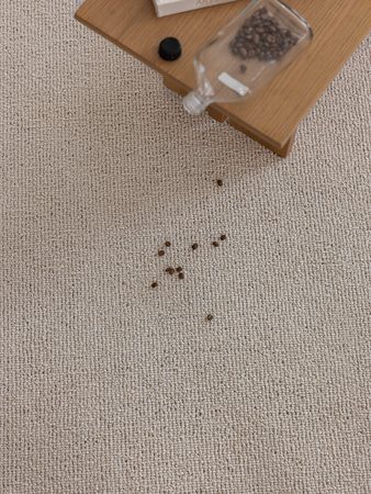 DF Carpet 17