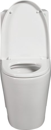 Smart Toilets