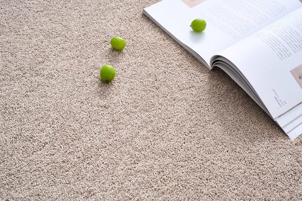 DF Carpet 14