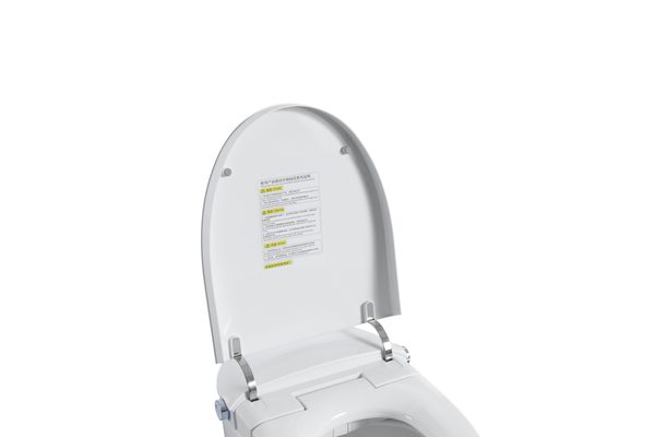 Smart Toilets S31 G