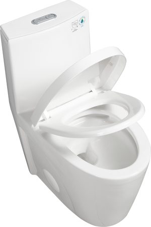 Smart Toilets T11