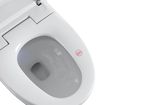 Smart Toilets S31 G