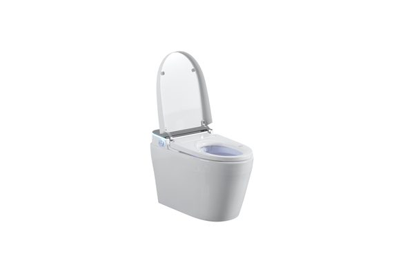 Smart Toilets S61