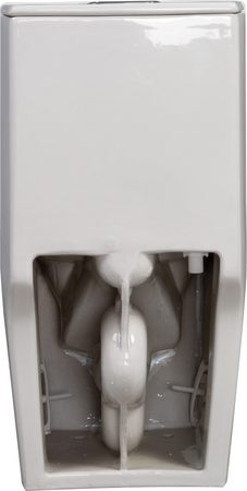 Smart Toilets