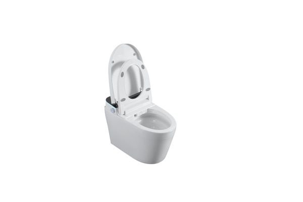 Smart Toilets S61