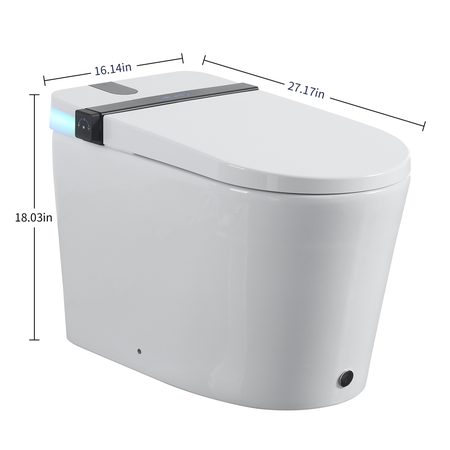 Smart Toilets S21 G