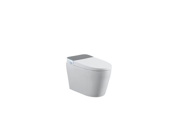 Smart Toilets S61