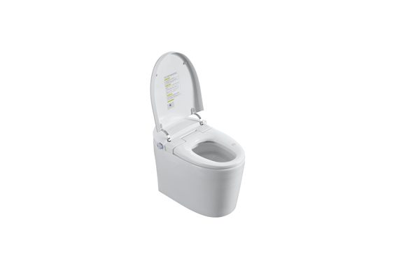 Smart Toilets S31 G