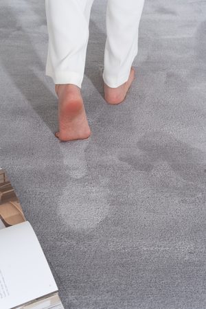 DF Carpet 13