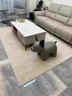 DF Carpet 15