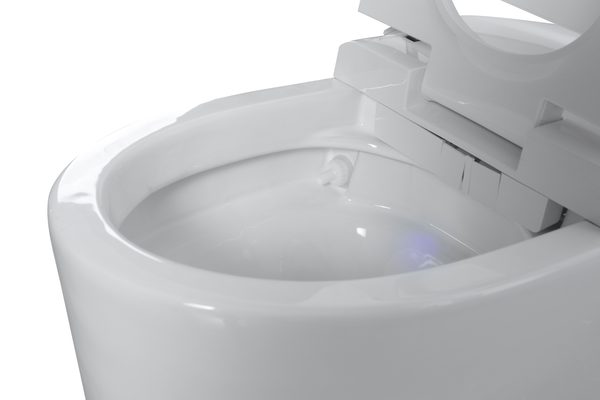 Smart Toilets S31 G