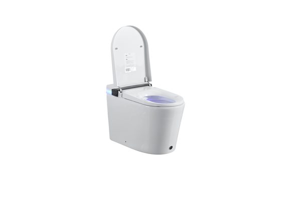 Smart Toilets S21 G